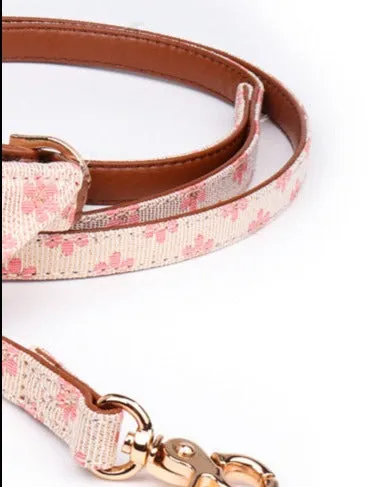 Dog Collar and Leash Set
