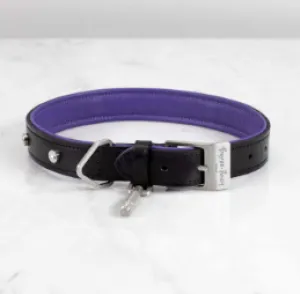 DOG COLLAR/SMALL
