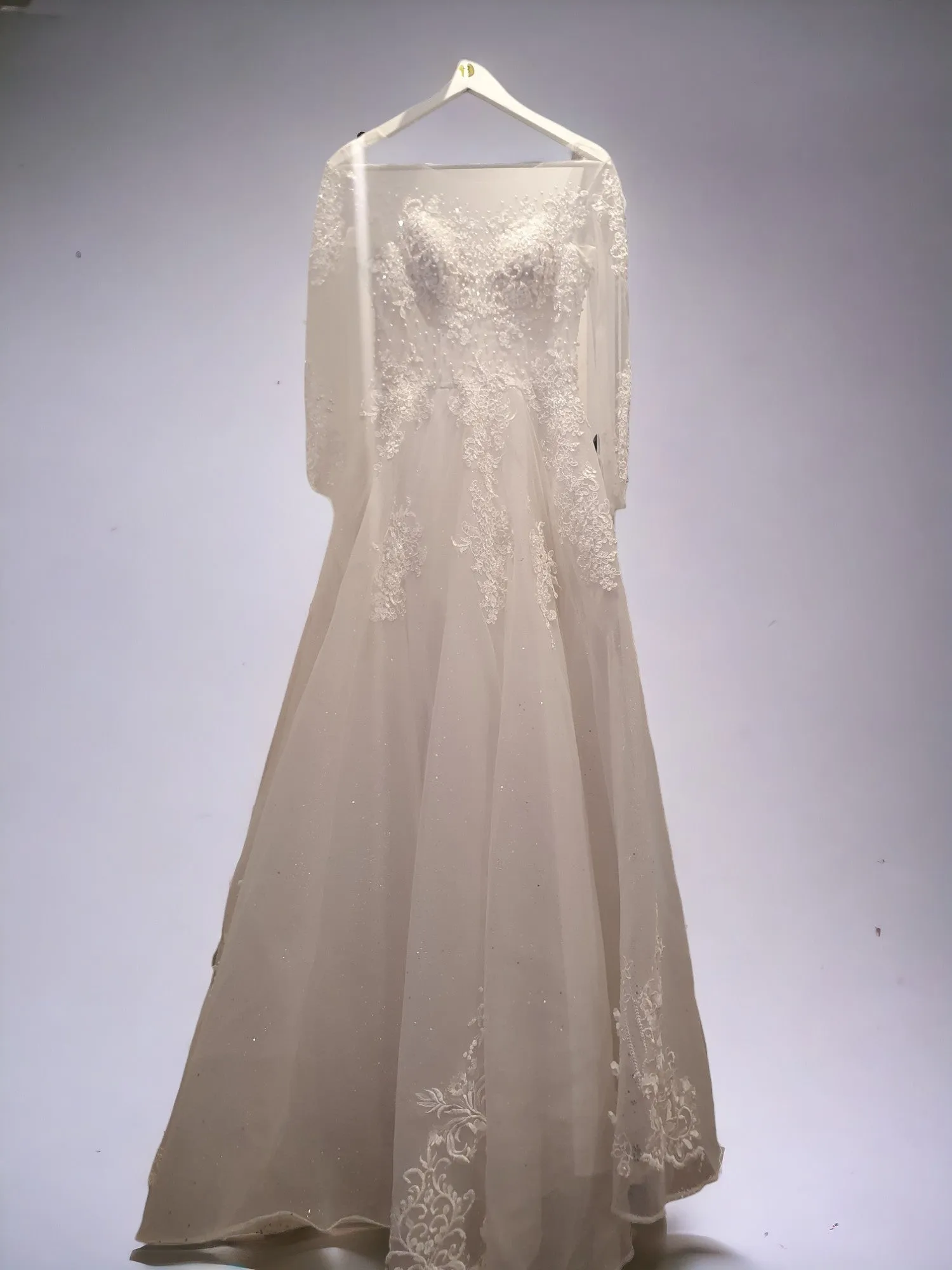 Sparkling Long Sleeve Princess Gown